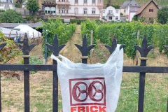 #012-Rüdesheim am Rhein